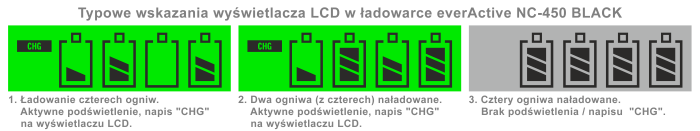 Najważniejsze cechy