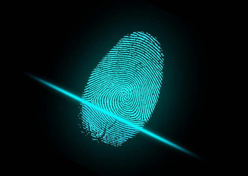 Biometryka - odcisk palca