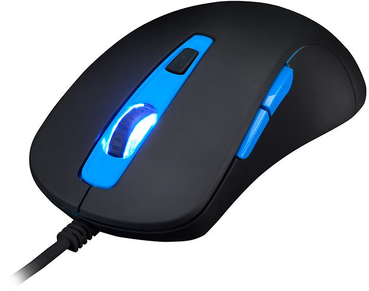 Najważniejsze cechy