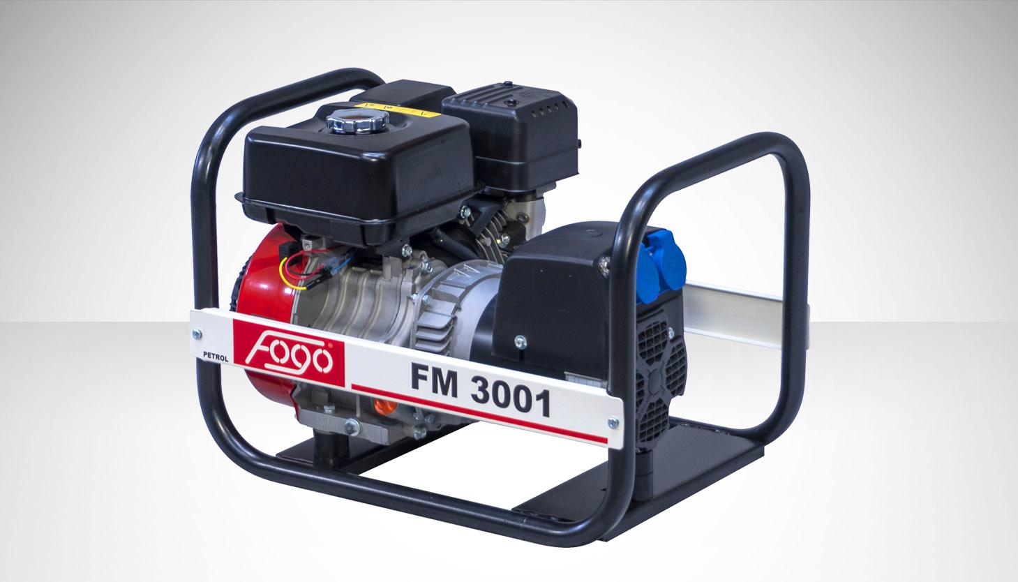 Agregat prądotwórczy FOGO FM3001 2.7kW - opis przedmiotu