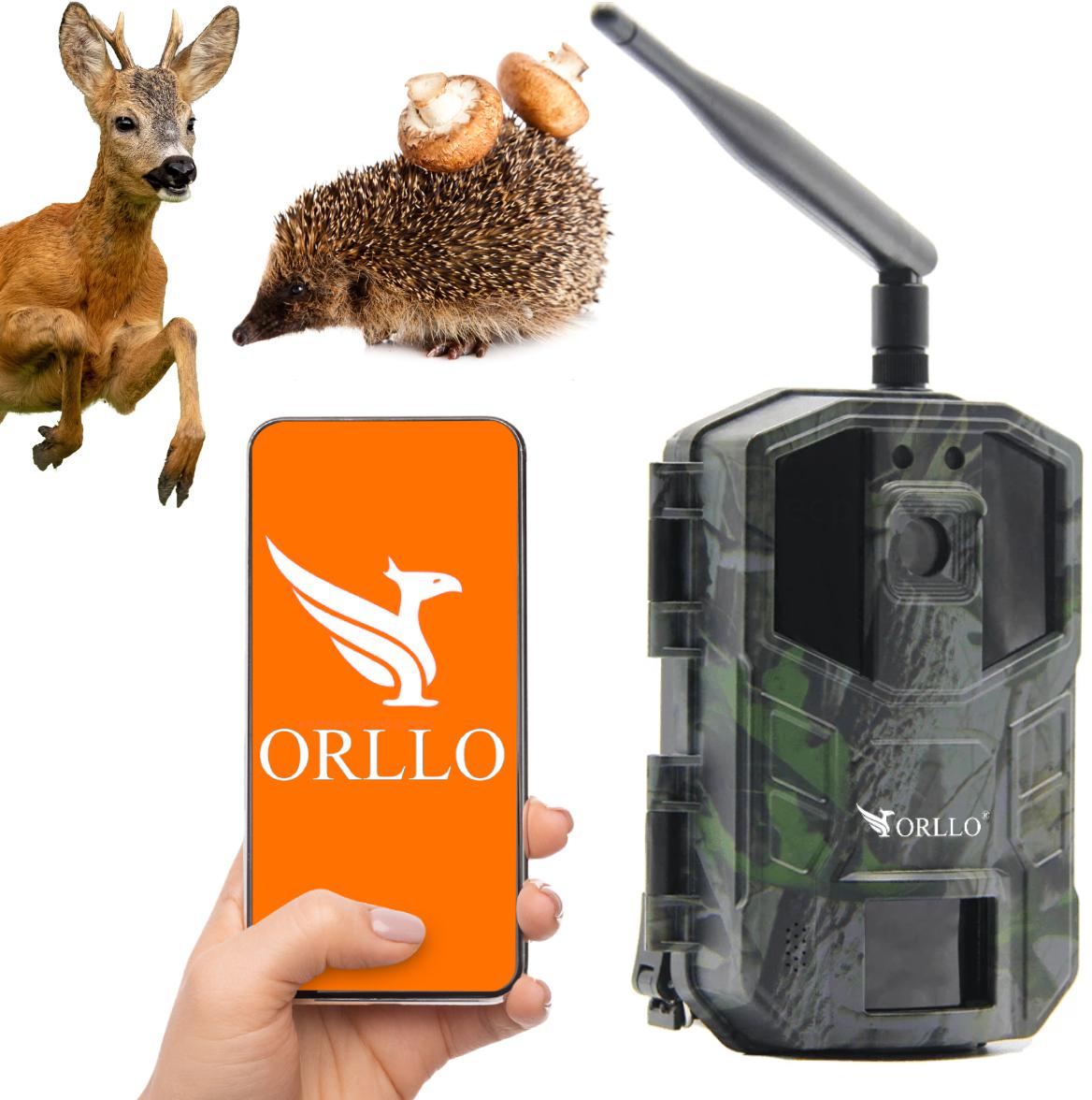 OUTLET_1: Fotopułapka GSM ORLLO Huntercam 3