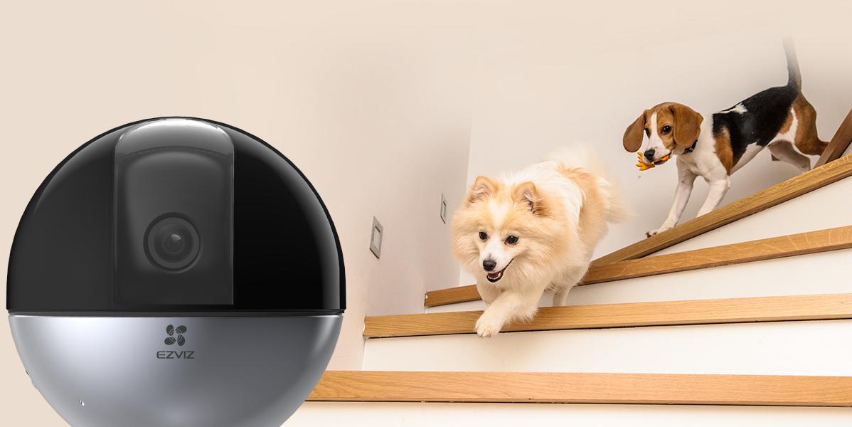 EZVIZ E6 3K Home Kit - domowa kamera monitorująca IP stworzona dla opiekunów zwierząt domowych