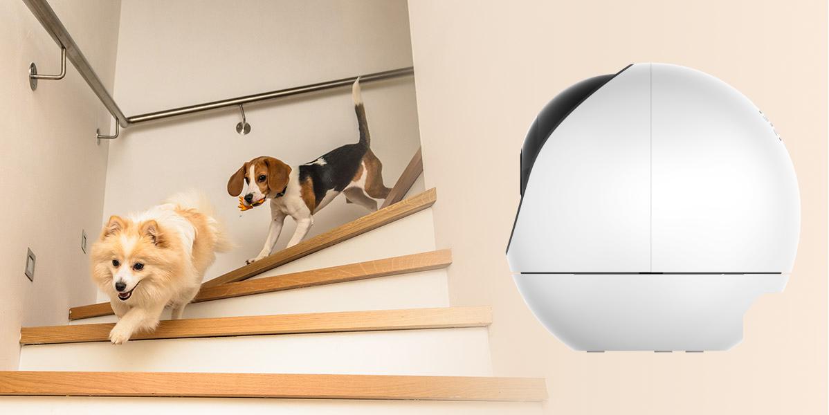 Inteligentna kamera domowa IP EZVIZ H6 3K Wi-Fi 360° - monitoruj swoje zwierzaki, gdy nie ma Cię w pobliżu!