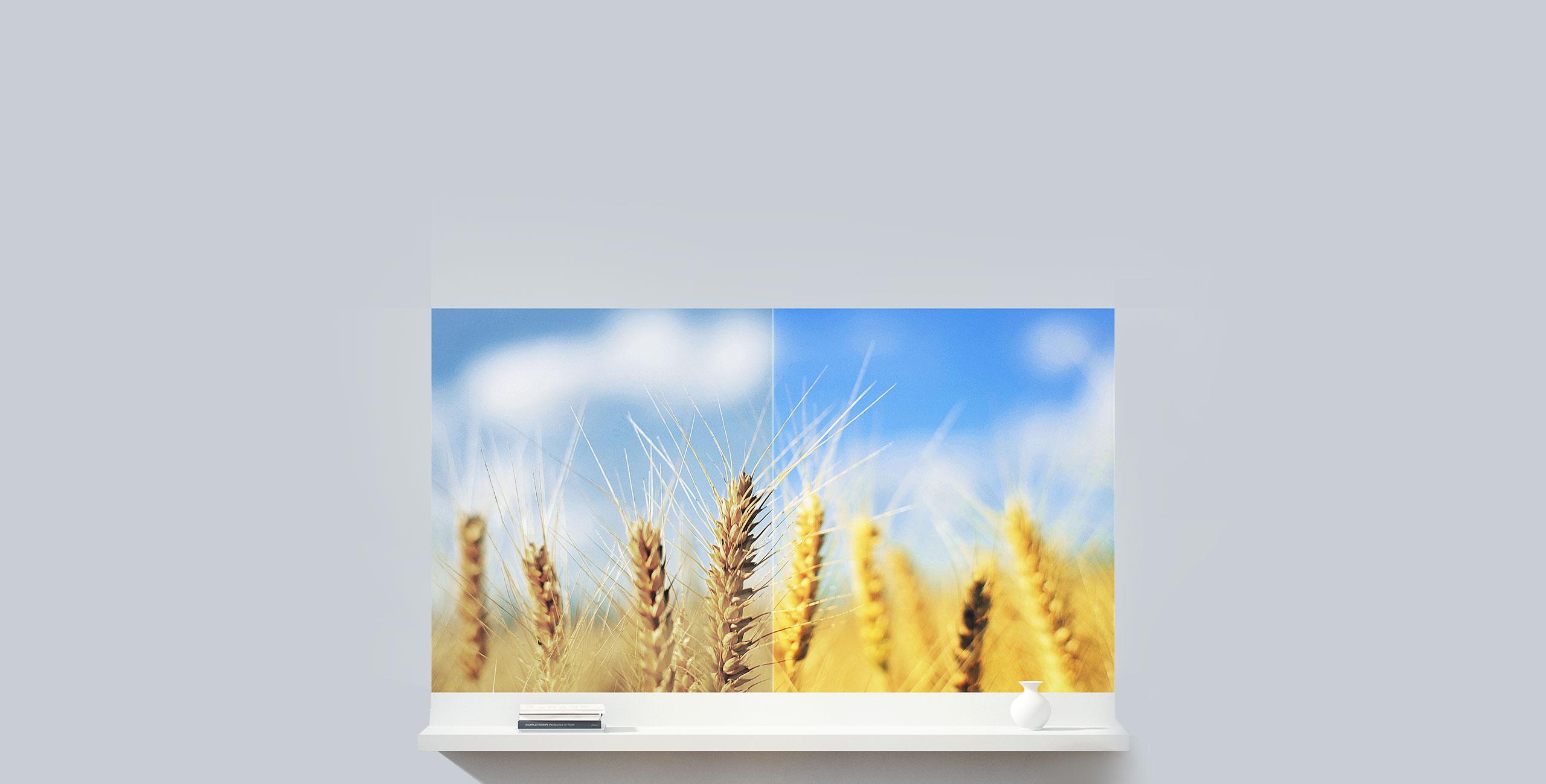 Xiaomi Mi Smart Projector 2 Pro – jasne, realistyczne kolory, żywe obrazy i bogactwo detali