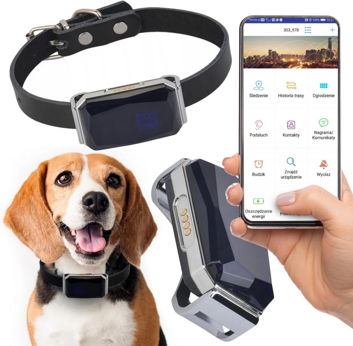 Lokalizator GPS dla zwierząt Mking MK12P - skuteczny i bezabonamentowy lokalizator dla psa i kota mocowany na obroży