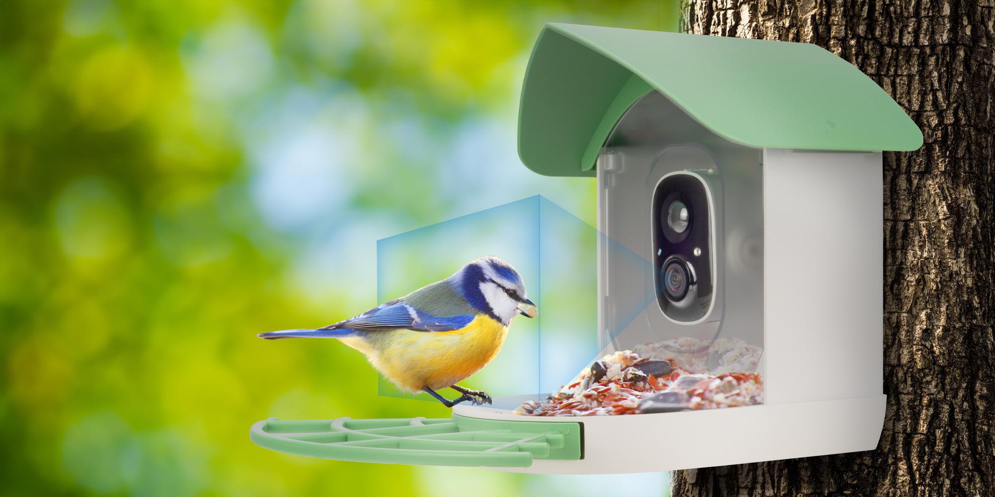 Kamera fotopułapka z karmnikiem dla ptaków Redleaf RD001 - detekcja ruchu i funkcja identyfikacji 10 000 gatunków