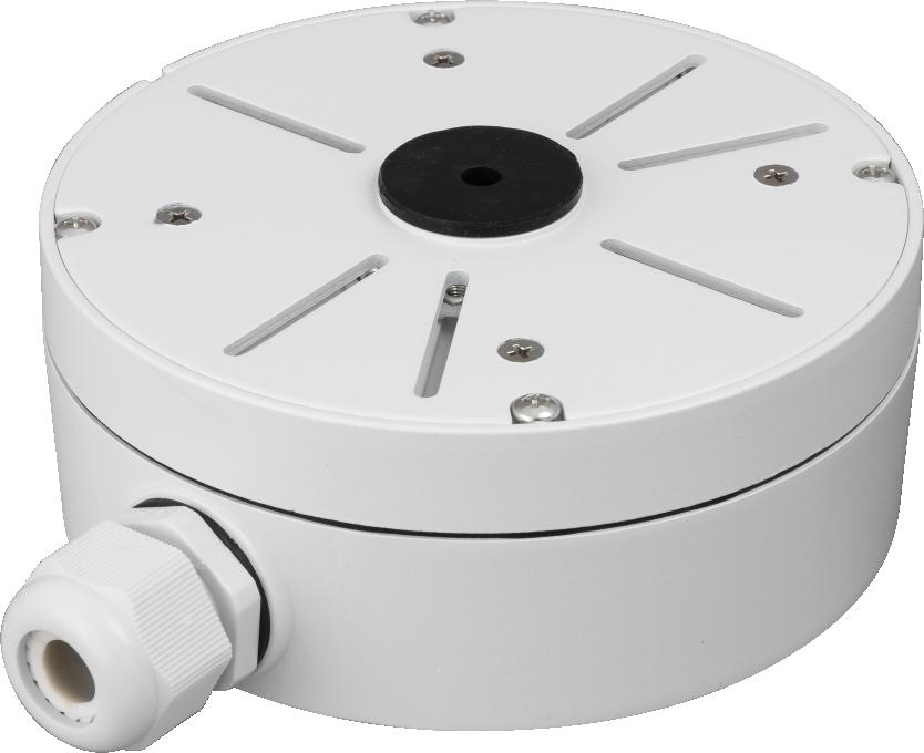 Najważniejsze cechy