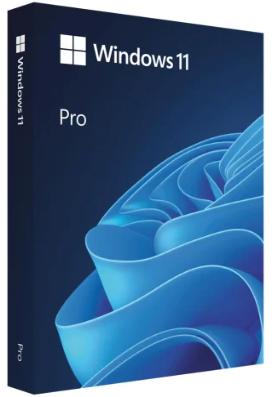 MS Windows 11 Professional 64bit Polish 1pk DVD OEM