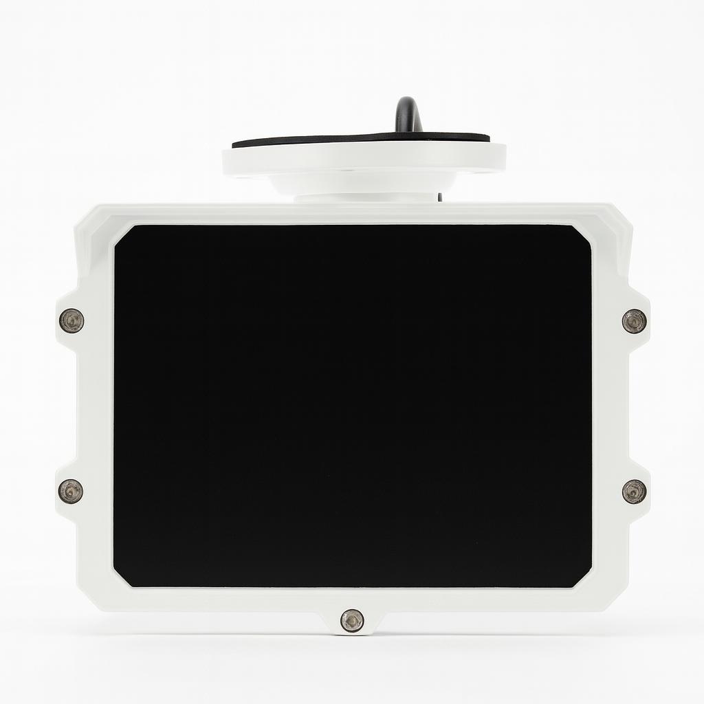 Najważniejsze cechy: