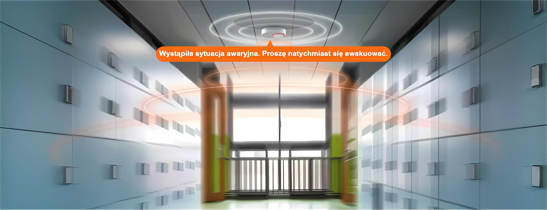 Dwukierunkowe audio i głośnik