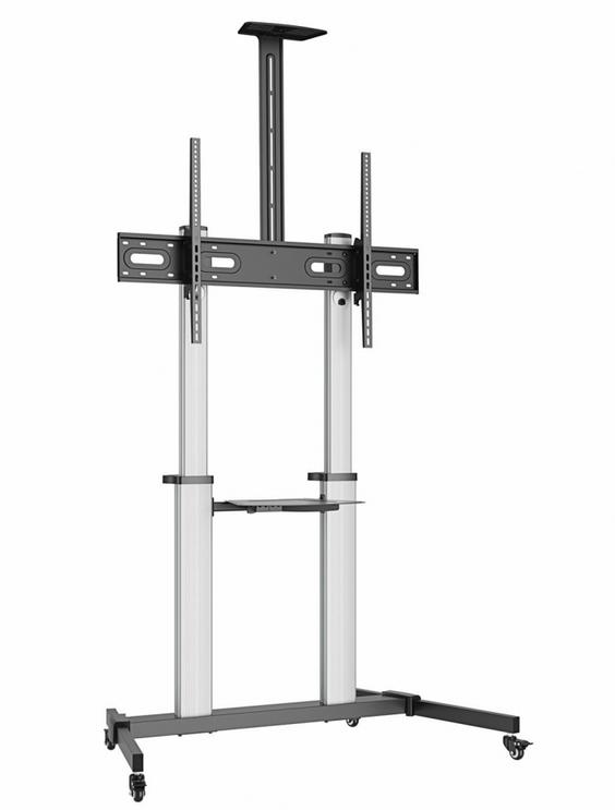 Najważniejsze cechy