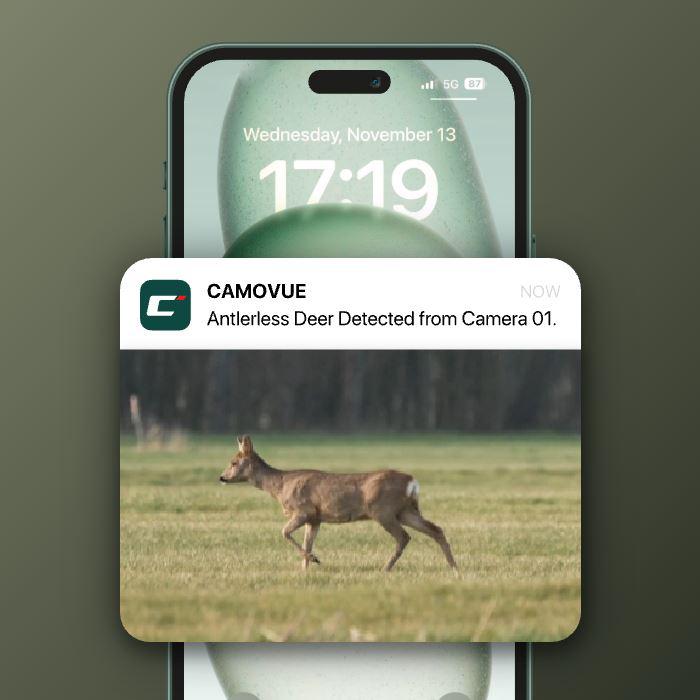 Szybki przegląd nagrań według zdarzeń