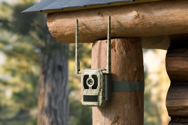 Pozostań w kontakcie z naturą – gdziekolwiek jesteś