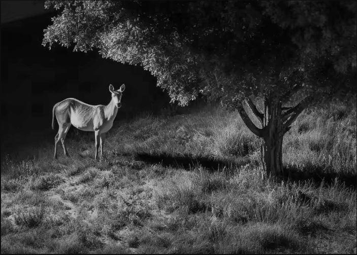 Zaawansowany obraz w nocy