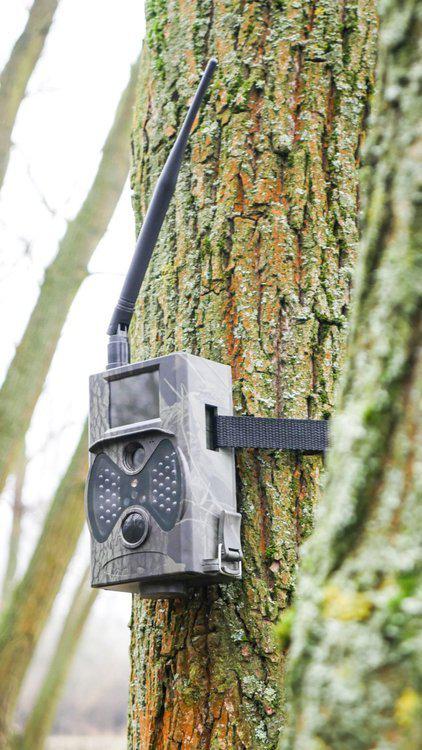 Kamera leśna Top-Hunt HC-300M - nowoczesna fotopułapka z GSM i czarnymi diodami IR x 40